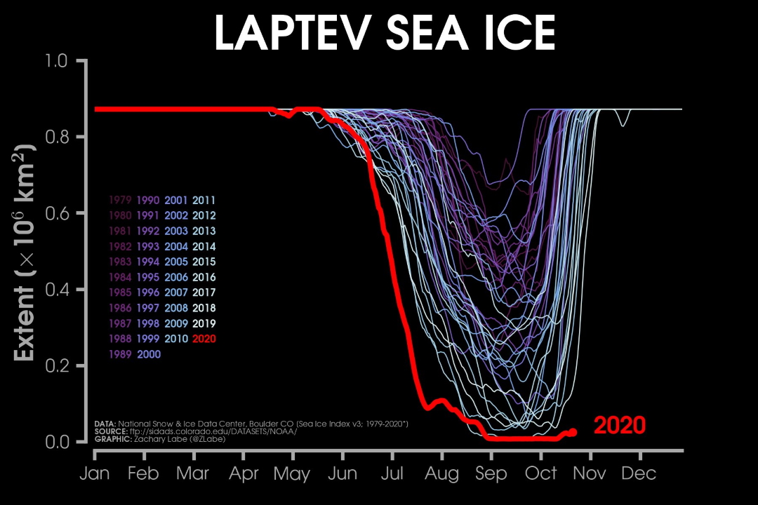 Arctic Ice