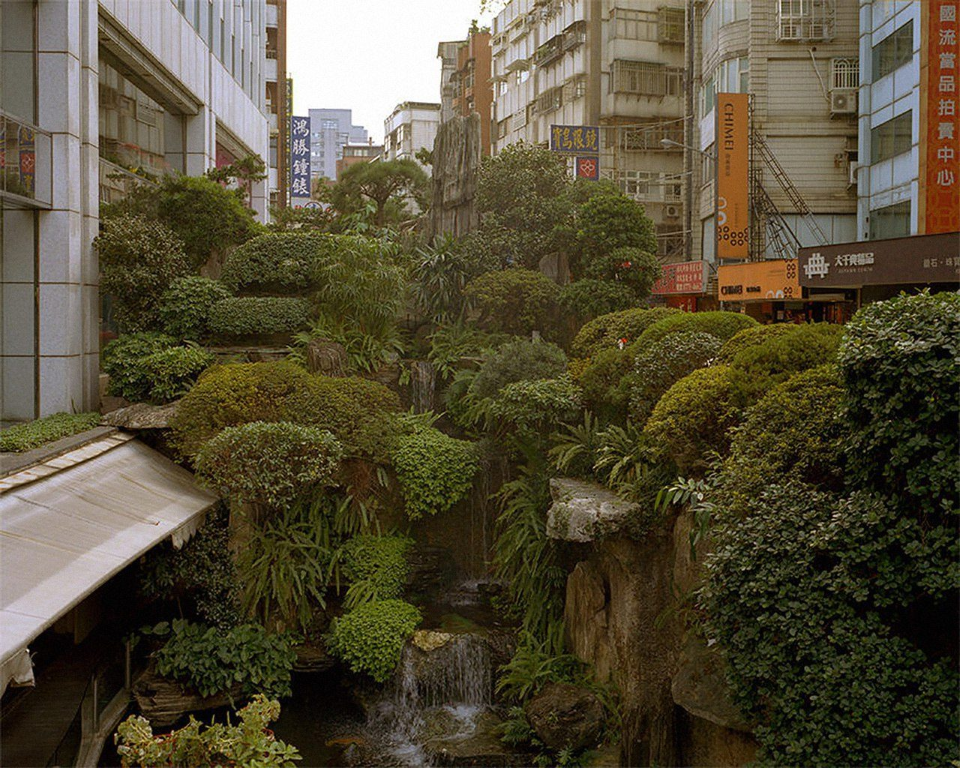 Urban Jungle