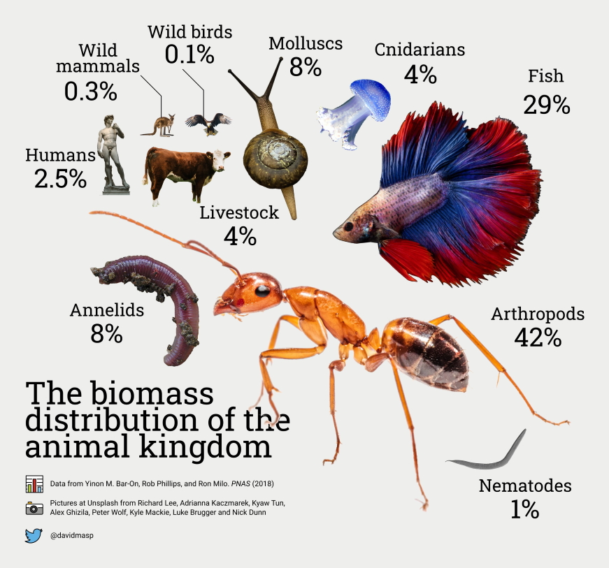 Biomass