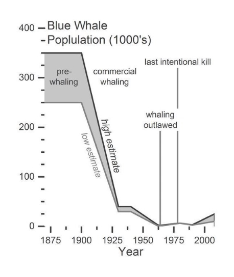 Ecological Changes