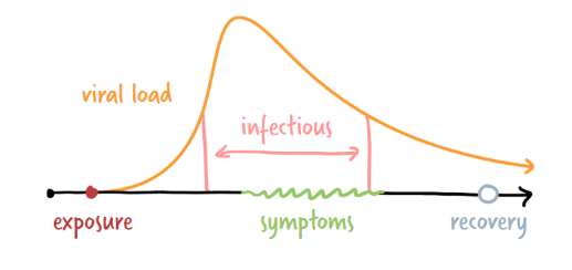 Covid Infection 3