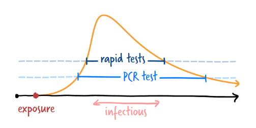 Covid Infection 4