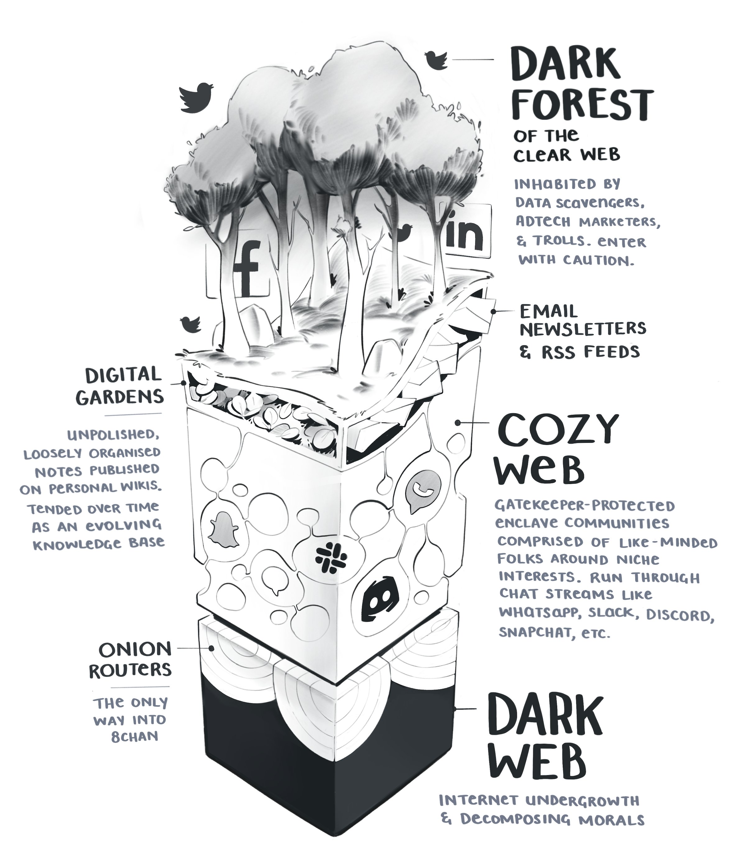 Dark Forest