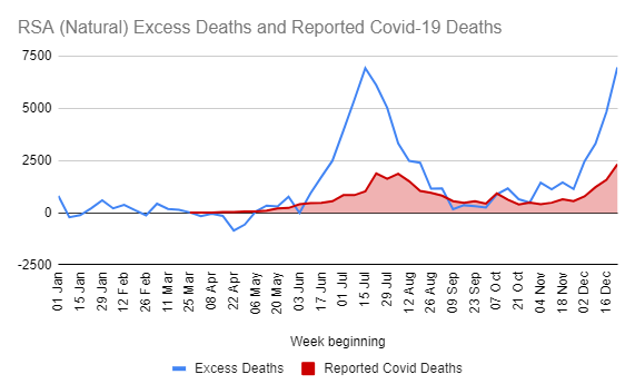 Excess Death