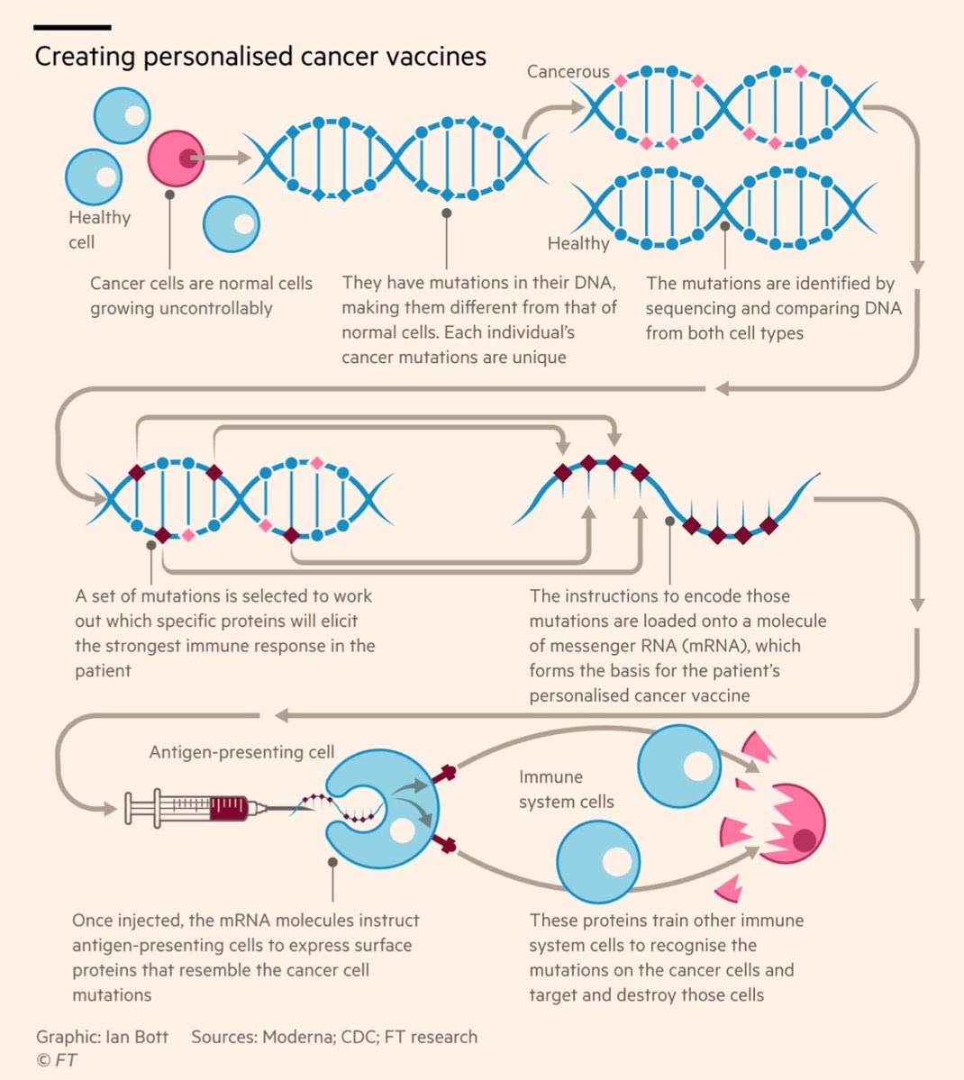 mRNA Vaccines